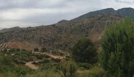 La Solana De Turon. El Pino Pension Ardales Buitenkant foto